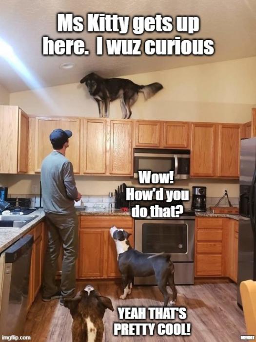 32 to satisfy your funny craving