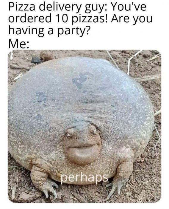 33 pictures that are gonna make you say "WTF that's so wrong!"