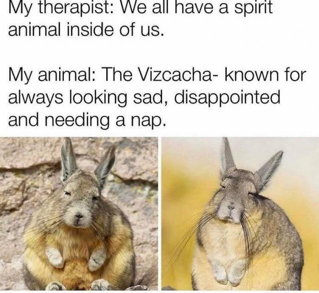 Because life's a crapshot