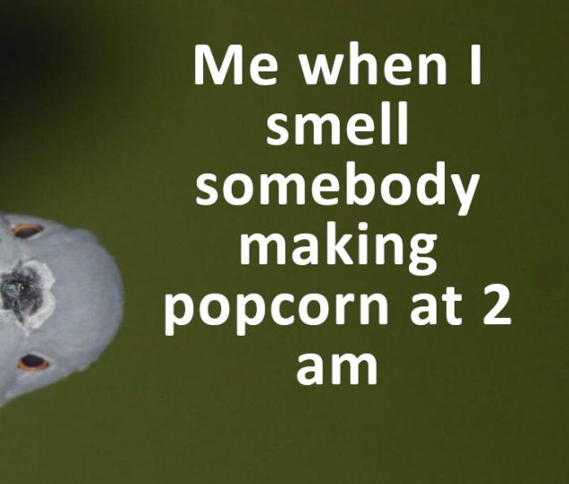 40 funny relatable memes