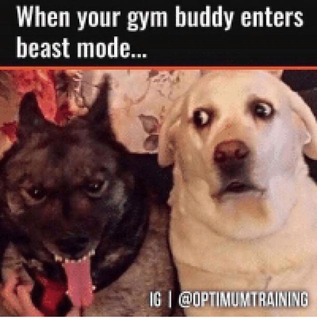 26 Hilarious random memes