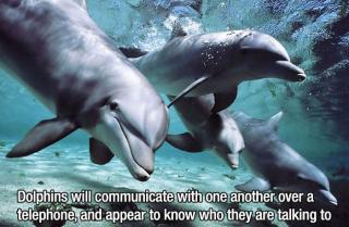 15 Fascinating Facts That You Probably Didn't Know