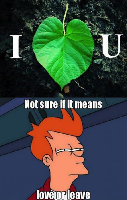 The Best of Fry Memes