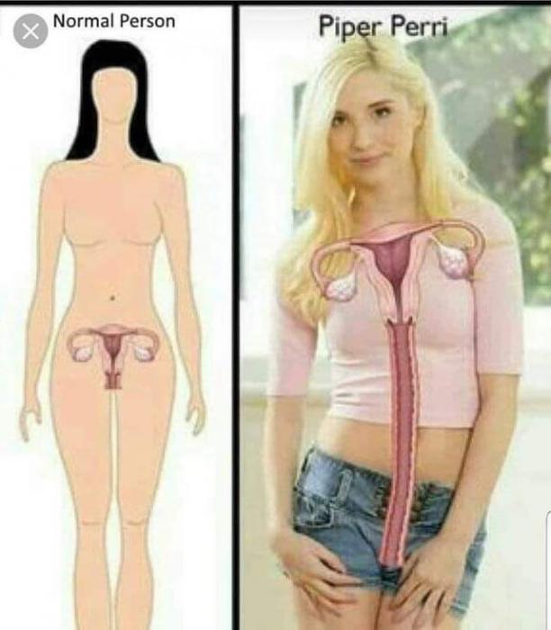 Dirty Saturday Delight Of Porn Memes