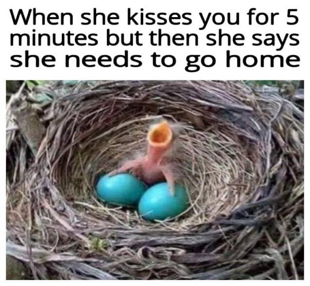 42 Randoms To Help Get You Over The Hump.