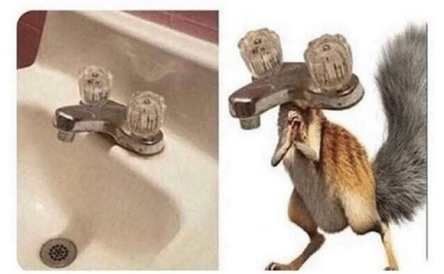 38 Pics, Memes, And Tweets To Put A Pep In Your Step.