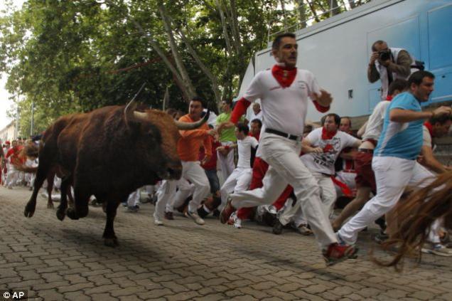 24 Pictures of People Getting Chased By Animals