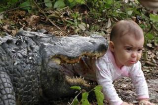 17 Photos of Adults Putting Babies in Danger!