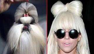 15 Celebrity Dog Doppelgangers!
