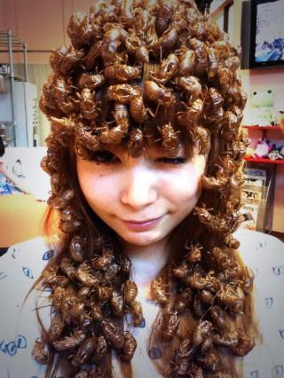 Kilgore's Nocturnal Exposition