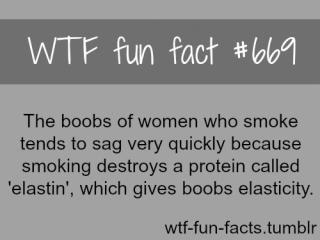Fun Facts!