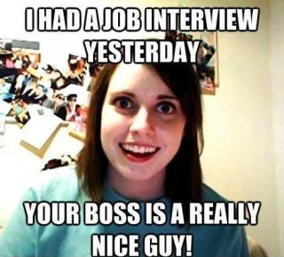 Meanwhile on the internet...