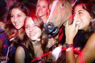 Horse head crazyness