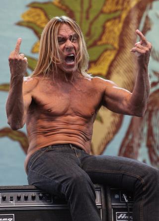 Celebrities giving the middle finger