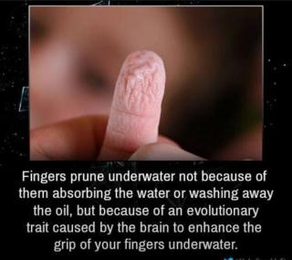 Prepare to have your mind blown