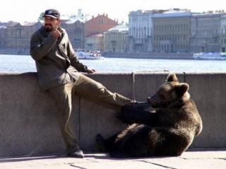 In Russia, bear is like dog