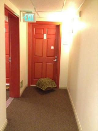 Delivered packages that are not so well hidden