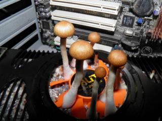 This Is What Can Happen When You Don't Use Your Computer for a Month