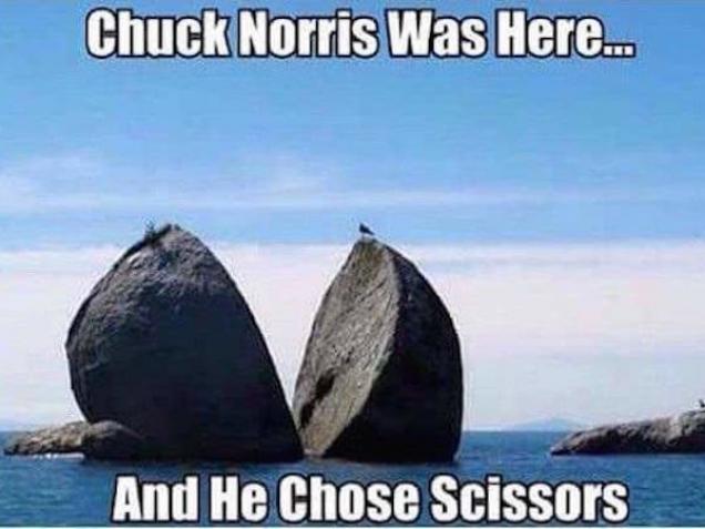 33 photos that just make sense