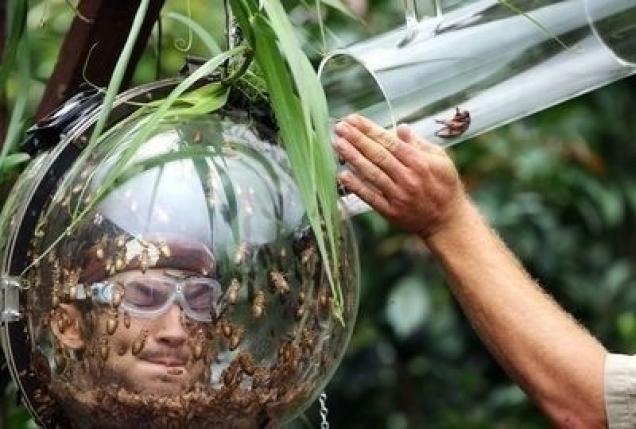 28 Pictures That Make You Wonder WTF Is Happening