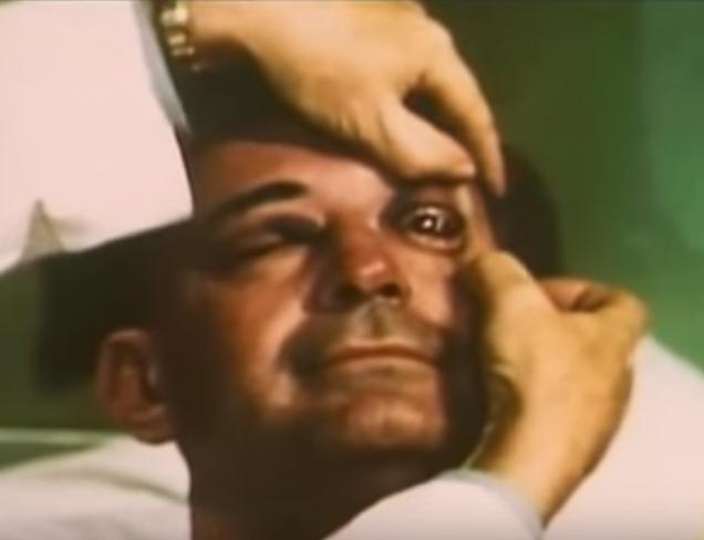 Feed Your Brain With These Fascinating Facts