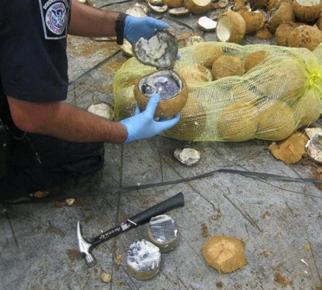 Ways Smugglers Have Used Food To Disguise And Transport Illegal Drugs