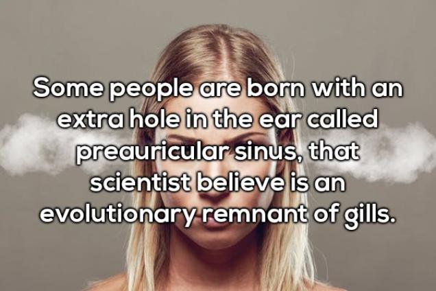 20 facts full of WTF