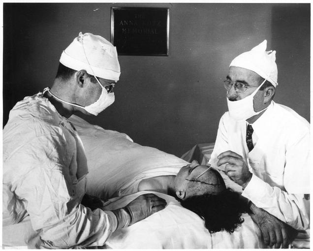 Feed Your Brain With These Fascinating Facts