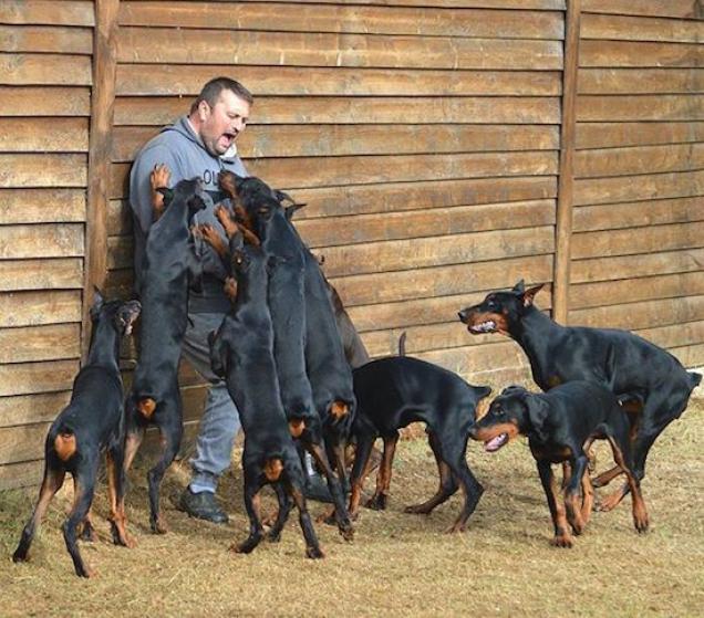 30 times sh*t hit the fan