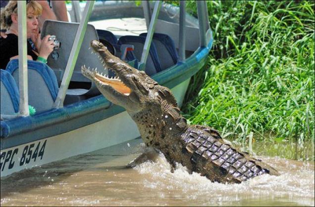 32 times sh*t happened