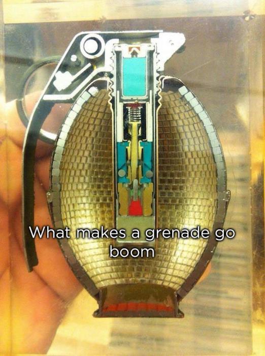 25 cross sections to reveal the epic insides