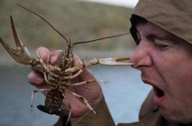 60 times sh*t happened