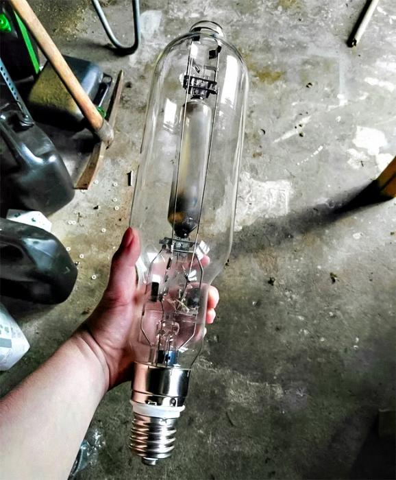 23 unexpected things will surprise you