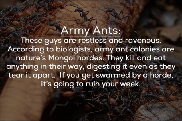 23 creatures are tiny, but they have the power to f*ck you up