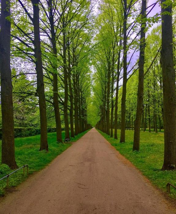 30 images oozing with satisfaction