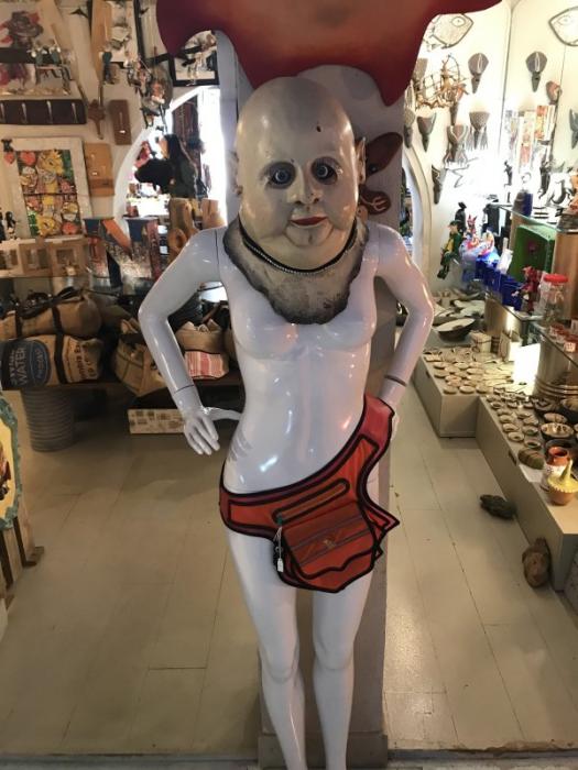 27 WTF things found at goodwill