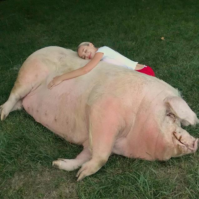 30 times sh*t went down