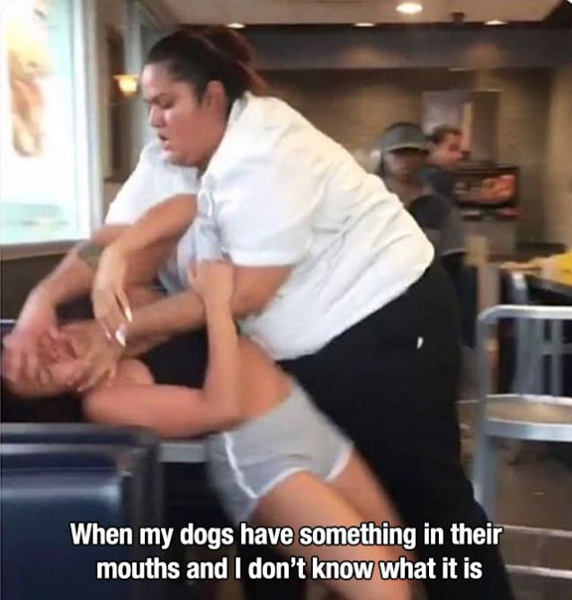 22 Pics That Speak the Truth.