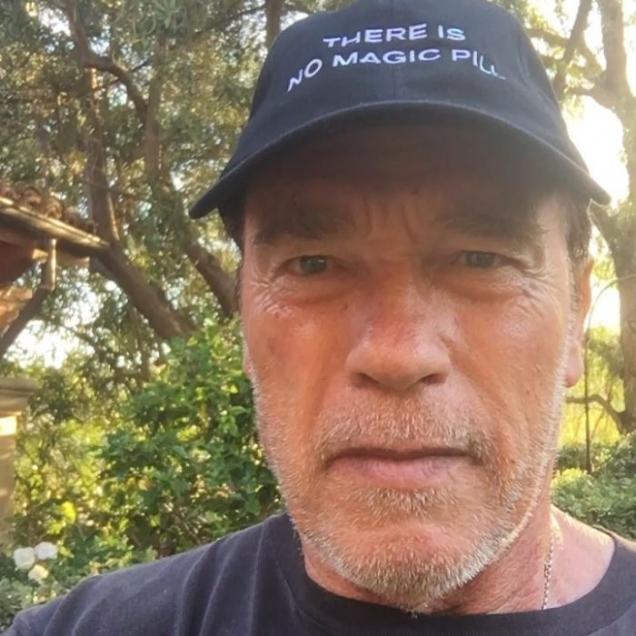 Depressed internet user gets help from Arnold Schwarzenegger