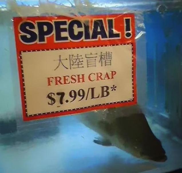 26 massive translation fails