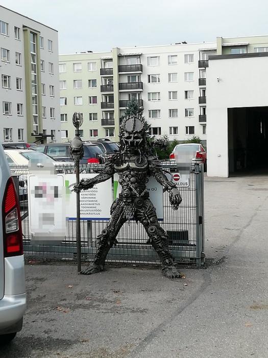 35 things that are cool to look at