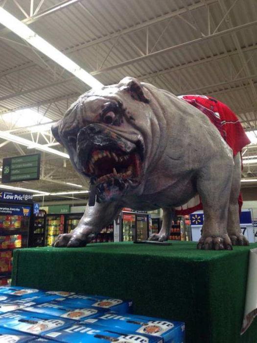 38 wtf things spotted at Walmart