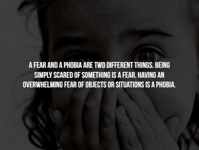 15 Creepy facts about phobias.