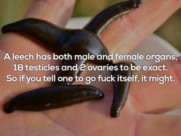 20 Random facts you need to know for no reason at all.