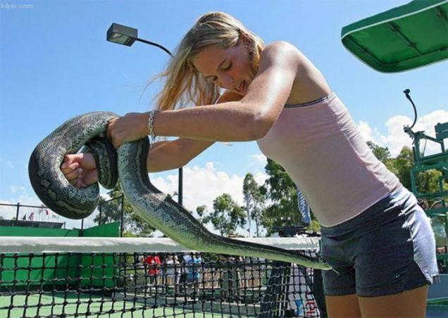 27 Photos with perfect timing.