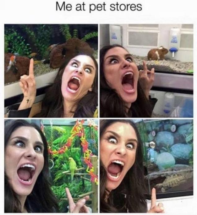 27 Pics that speak the truth.