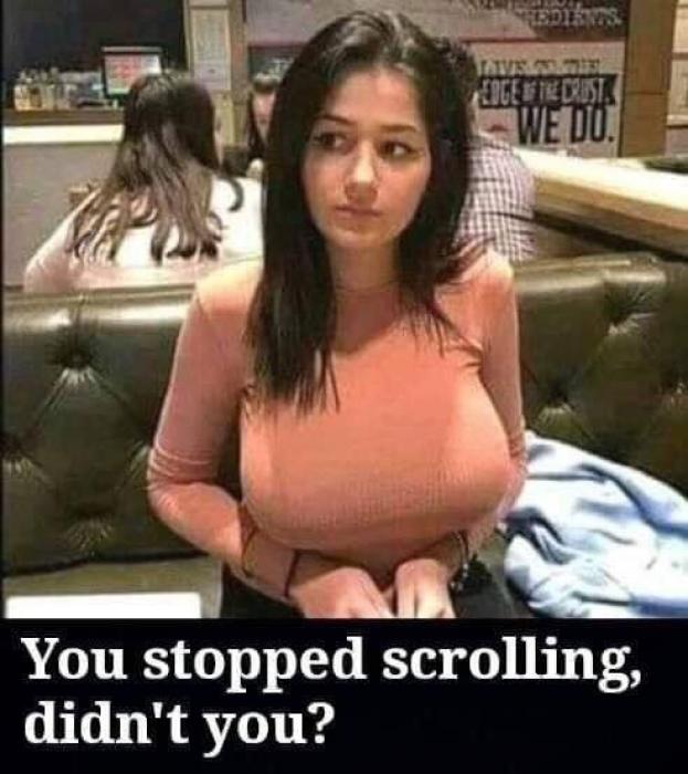 37 Pics and memes to improve your mood.