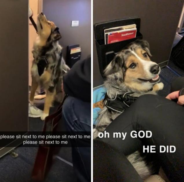 32 Odd Images That Might Bring You Joy.