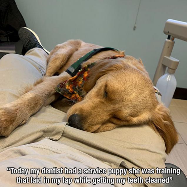 17 Photos To Remind You That Life Is Beautiful.