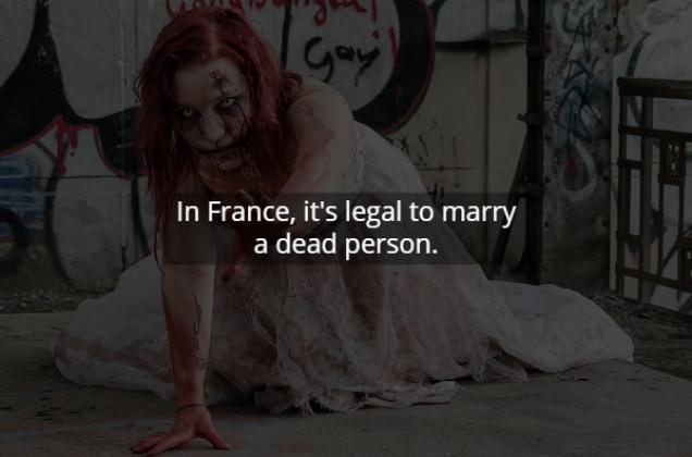 15 Disturbing Facts to Freak You Out.